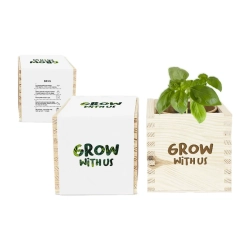 Zielony Kwadrat — zestaw w drewnie / Grow kit kwadratowy